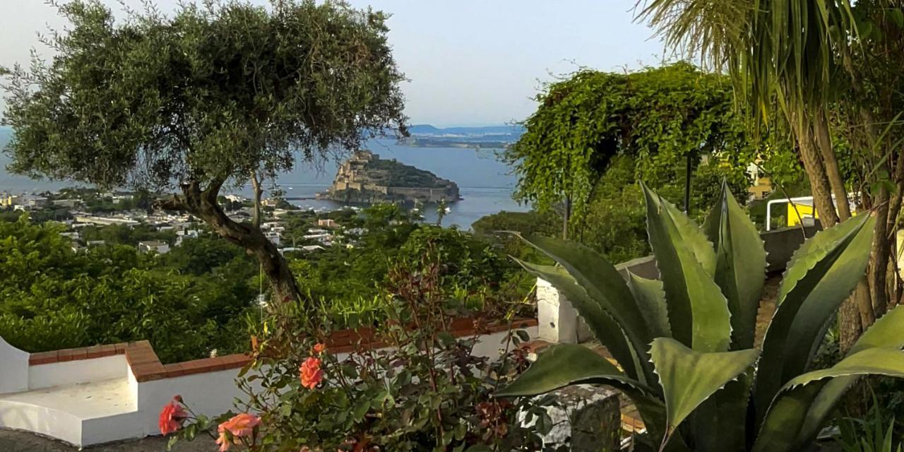 Barracudasuite Ischia Zewnętrze zdjęcie